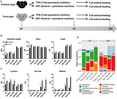 Rapid Gut Adaptation to Preterm Birth Involves Feeding-Related DNA Methylation Reprogramming of Intestinal Genes in Pigs